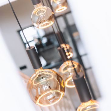 40080 - Segula 007 Pendelleuchte organisch 140cm - 8 Lichter 